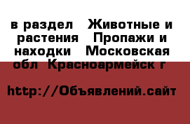  в раздел : Животные и растения » Пропажи и находки . Московская обл.,Красноармейск г.